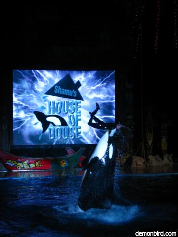 Shamu's House of Douse