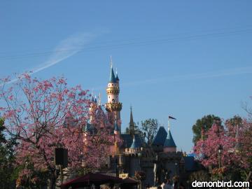 beautiful castle